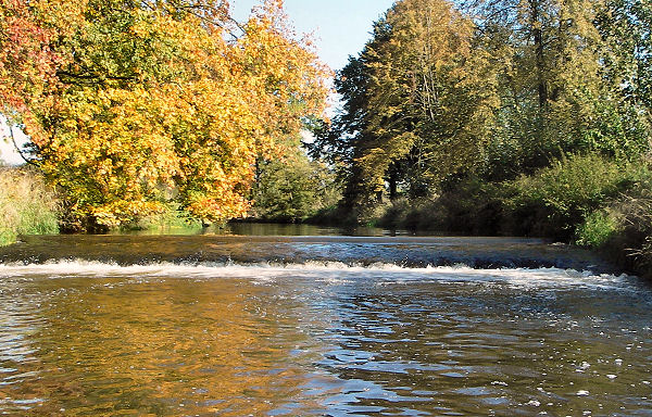 rkm. 15,0 Jeden z mnoha stupňů pod Novým Městem
