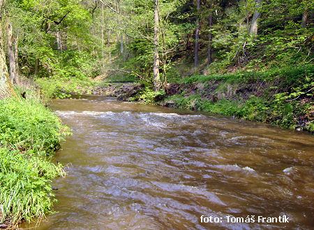 rkm. 1,5 Hamerský potok