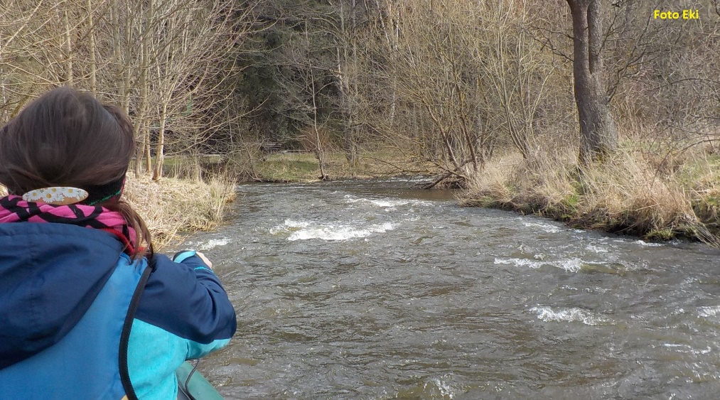rkm. 0 Peřejky na Tiché před ústím, v pozadí zprava přitéká Mže