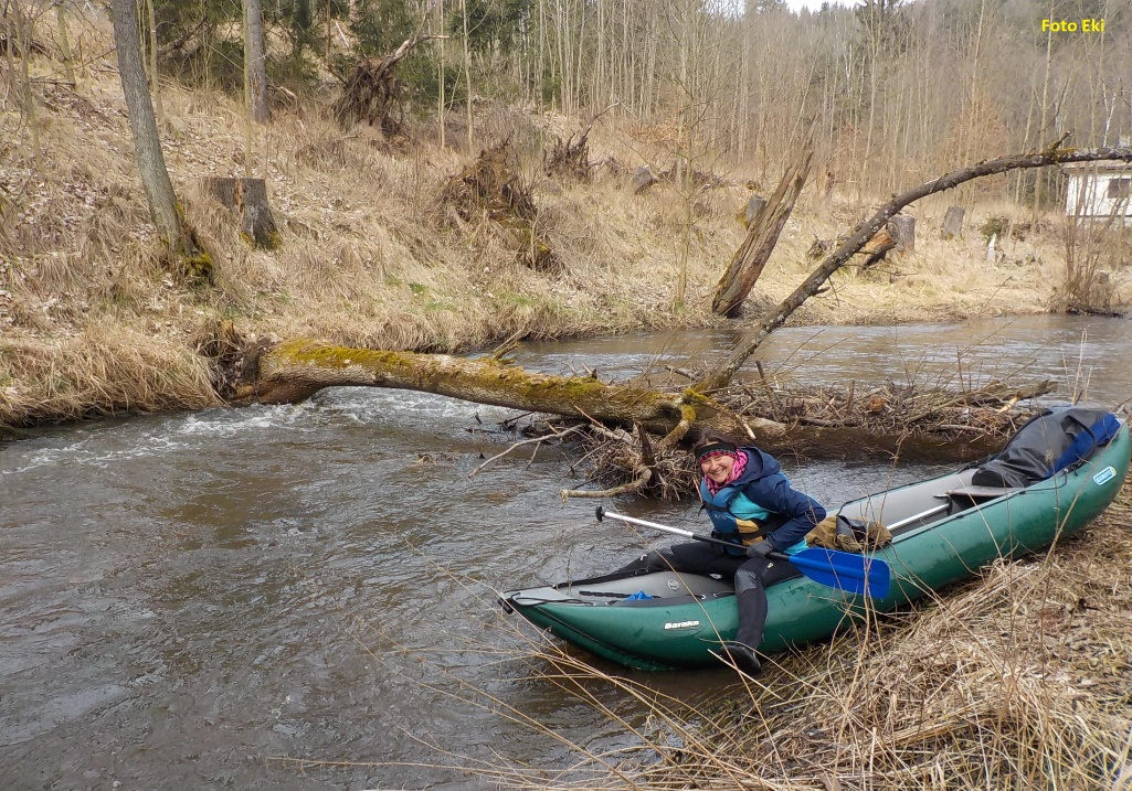 rkm. 2 Padlý strom na dolním toku Tiché