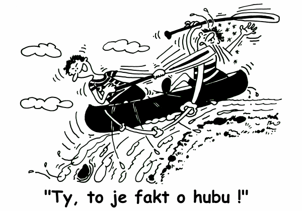 Ty, to je fakt o hubu!