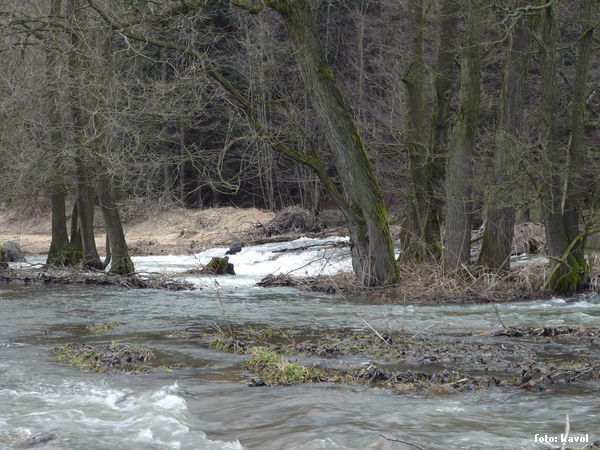 rkm. 79,0 jez nad Radostínem nad Oslavou