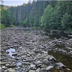 AVTS podala žalobu na nečinnost MÚ Sušice