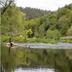 Sála - sestra Vltavy I/II