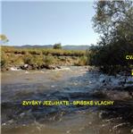 Perej v místě rozvaleného jezu