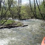 Pod Mengusovcemi - značně zatarasené