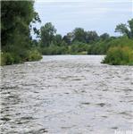 Staré koryto Váhu pod Hričovem