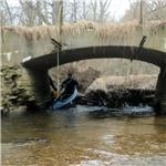 Most se závalem pod Nehasicemi  6.3.2022, stav 31cm (0,95m3/s) v Postoloprtech