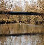 Před jezem Mladý Hlízov