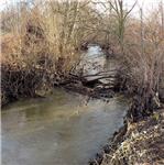 Zátaras v korytě Klejnárky před Starým Kolínem