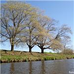 Labe u Hradci Králové