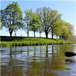 Labe v Hradci Králové - Plácky 