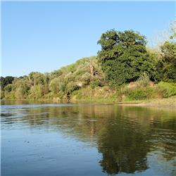 mezi Brodským a soutokem