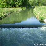 Vakový jízek u Veselic