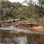 Smědá pod vesničkou Předlánce v PR Meandry Smědé za stavu 28 cm, 2,3 kubíků