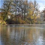 Podzimní Svratka pod Pisáreckým mostem