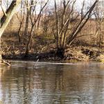 Ústí Vrchlice do Klejnárky (Klejnárka přitéká v pozadí zprava)