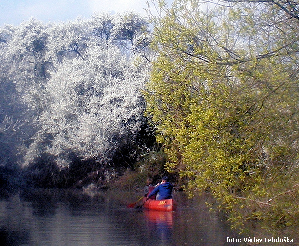 Pod Žehušicemi Pod Žehušicemi