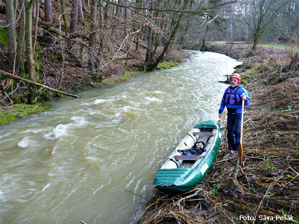 Přenesli jsme kmen (celkem dvakrát) Přenesli jsme kmen (celkem dvakrát)