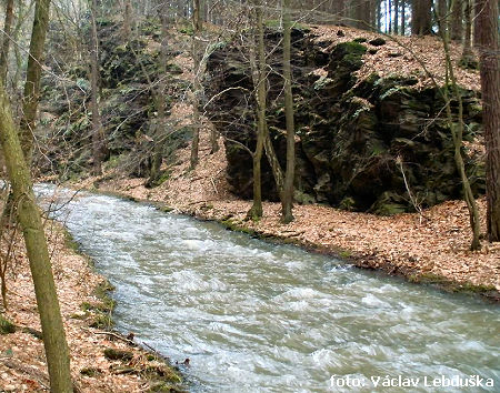 Údolí Janského potoka Údolí Janského potoka
