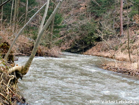 Údolí Janského potoka Údolí Janského potoka