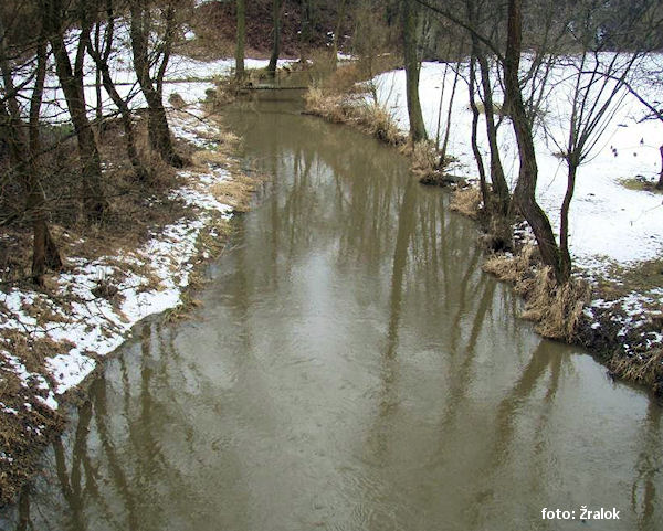 Zárybničná Lhota Zárybničná Lhota