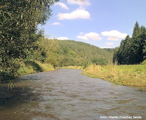 Před Dolním Hradištěm Před Dolním Hradištěm