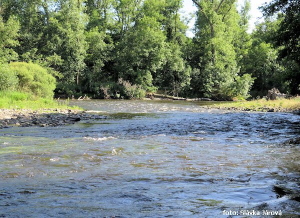 Mezi Brioude a Issoire Mezi Brioude a Issoire