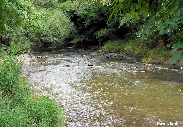 Meandr pod jezem na Úhlavě Meandr pod jezem na Úhlavě