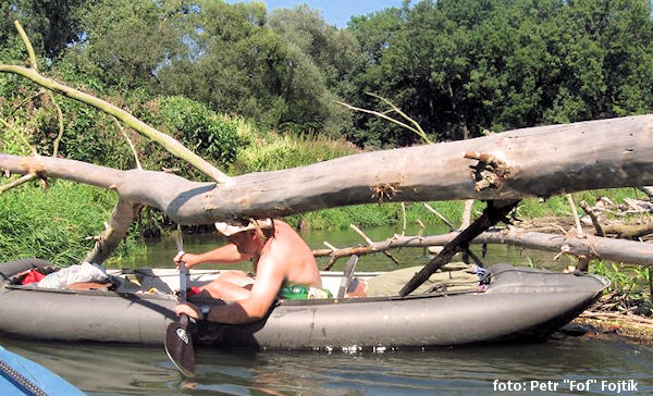 Pálavokajak Pálavokajak