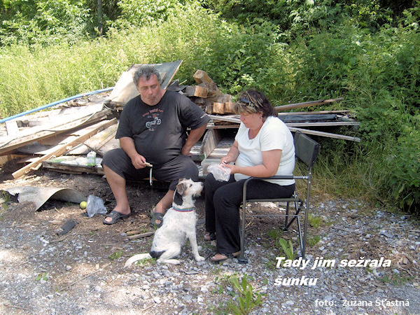 Vodácký zájezd očima lodního psa Vodácký zájezd očima lodního psa