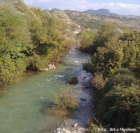 Ribnica