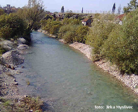 Ribnica