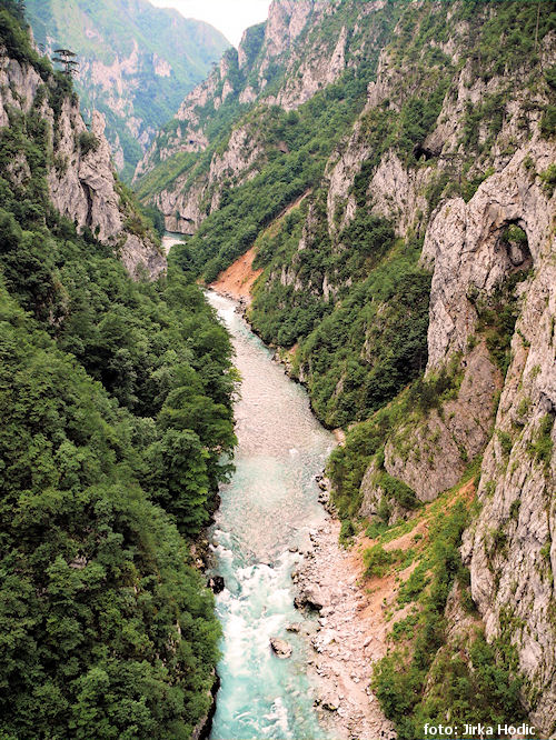 Piva Piva