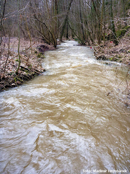 Jeden z přehlednějších úseků Jeden z přehlednějších úseků