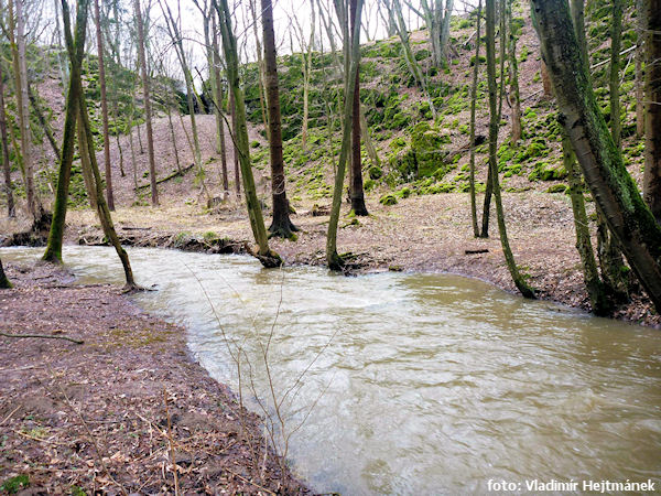 Ochozská jeskyně Ochozská jeskyně