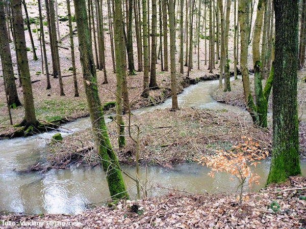 Tudy chodil pračlověk Tudy chodil pračlověk