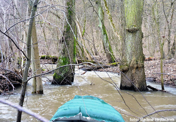 … a Říčka hravá … a Říčka hravá