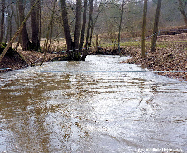 Je libo elektrickou ránu? Je libo elektrickou ránu?