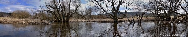 neprostupný mokřad aneb bezúdržbová čistička neprostupný mokřad aneb bezúdržbová čistička