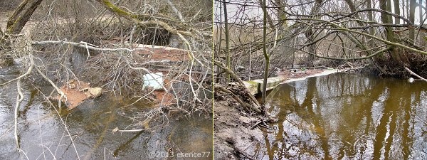 náplavy od Křižáneckého mostu až k hranici rezervace houstnou náplavy od Křižáneckého mostu až k hranici rezervace houstnou