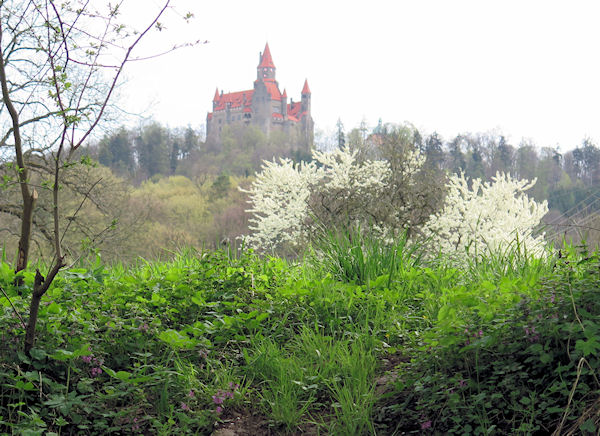 Hrad Bouzov z řeky Hrad Bouzov z řeky