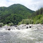 Bulharská Arda