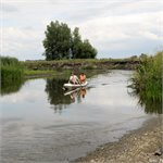 Meandry na dolním toku