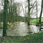 Okolni krajina