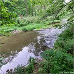 Horní kaskáda nad Bělidlem za malé vody