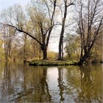 Soutok Tiché a Divoké, dále Orlice