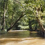 Trnávka