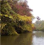 Barevné listí pod hrází Žehuňského rybníka