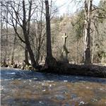 Divoká Orlice pod Bartošovicemi